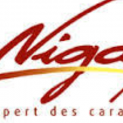 ALTERNANT SECURITE