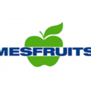 Assistant(e) QSE